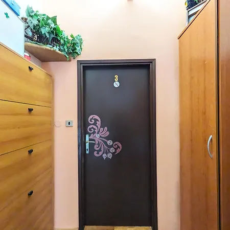 Appartamento Ap Silvija Zara Esterno foto