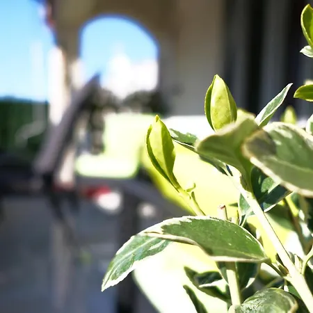 Appartamento Ap Silvija Zara Esterno foto